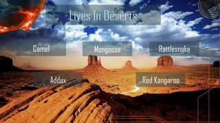 Camel           Mongoose        Rattlesnake


        Addax              Red Kangaroo
 