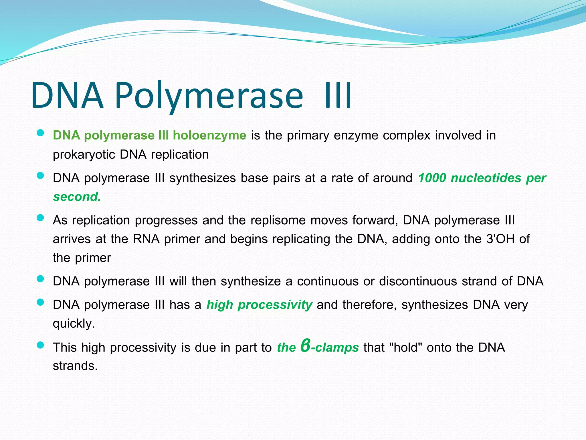 DNA Polymerase III
 DNA polymerase III holoenzyme is the primary enzyme complex involved in
prokaryotic DNA replication
 DNA polymerase III synthesizes base pairs at a rate of around 1000 nucleotides per
second.
 As replication progresses and the replisome moves forward, DNA polymerase III
arrives at the RNA primer and begins replicating the DNA, adding onto the 3'OH of
the primer
 DNA polymerase III will then synthesize a continuous or discontinuous strand of DNA
 DNA polymerase III has a high processivity and therefore, synthesizes DNA very
quickly.
 This high processivity is due in part to the β-clamps that "hold" onto the DNA
strands.
 