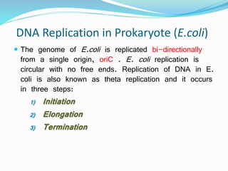 DNA Replication in Prokaryote (E.coli)
 The genome of E.coli is replicated bi-directionally
from a single origin, oriC . E. coli replication is
circular with no free ends. Replication of DNA in E.
coli is also known as theta replication and it occurs
in three steps:
1) Initiation
2) Elongation
3) Termination
 