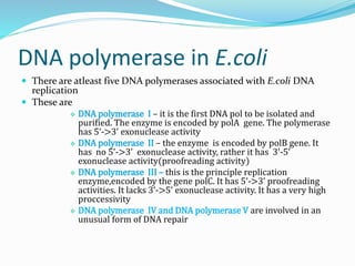 DNA polymerase in E.coli
 There are atleast five DNA polymerases associated with E.coli DNA
replication
 These are
 DNA polymerase I – it is the first DNA pol to be isolated and
purified. The enzyme is encoded by polA gene. The polymerase
has 5’->3’ exonuclease activity
 DNA polymerase II – the enzyme is encoded by polB gene. It
has no 5’->3’ exonuclease activity, rather it has 3’-5’
exonuclease activity(proofreading activity)
 DNA polymerase III – this is the principle replication
enzyme,encoded by the gene polC. It has 5’->3’ proofreading
activities. It lacks 3’->5’ exonuclease activity. It has a very high
proccessivity
 DNA polymerase IV and DNA polymerase V are involved in an
unusual form of DNA repair
 