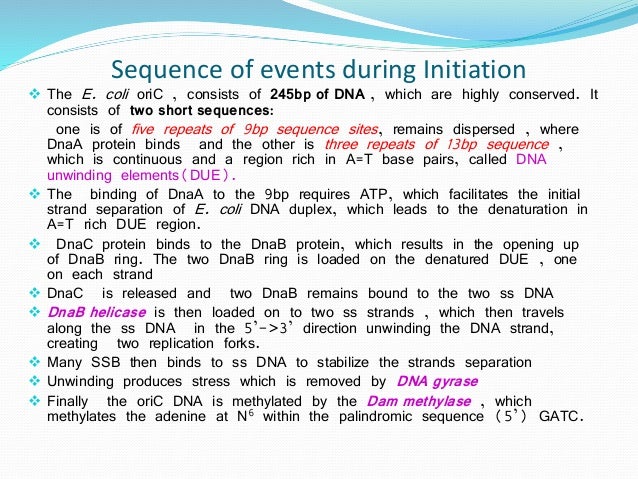 Dna homework help