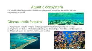 Ppt on ecosystem | PPTX