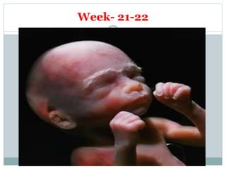 Embryology | PPTX