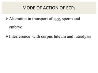 MODE OF ACTION OF ECPs
Alteration in transport of egg, sperm and
embryo.
Interference with corpus luteum and luteolysis
 