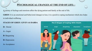 ppt on end of life care (samiksha).pptx