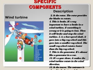 SpecificSpecific
componentScomponentS
Wind turbine
Description
2. Is therotor. Therotorprovides
theblades to rotate.
4. This is brake. It’s very
important to haveabrakeina
windturbine, if somethingis
wrongorit is goingto fast. Then
it will brakeandstopthewind
turbine. 5. is alow-speedshaft, it
goes intoabigcogwheel andthis
goes intoasmallercogwheel. The
small cogwheel rotates faster
thanthebigcogwheel.
7. This is thegenerator. It’s almost
likeageneratorinacar.
13. It’s ayaw draw, it makes the
windturbinerotateinthewind
direction.
15. Is thetower. Theentranceis
 