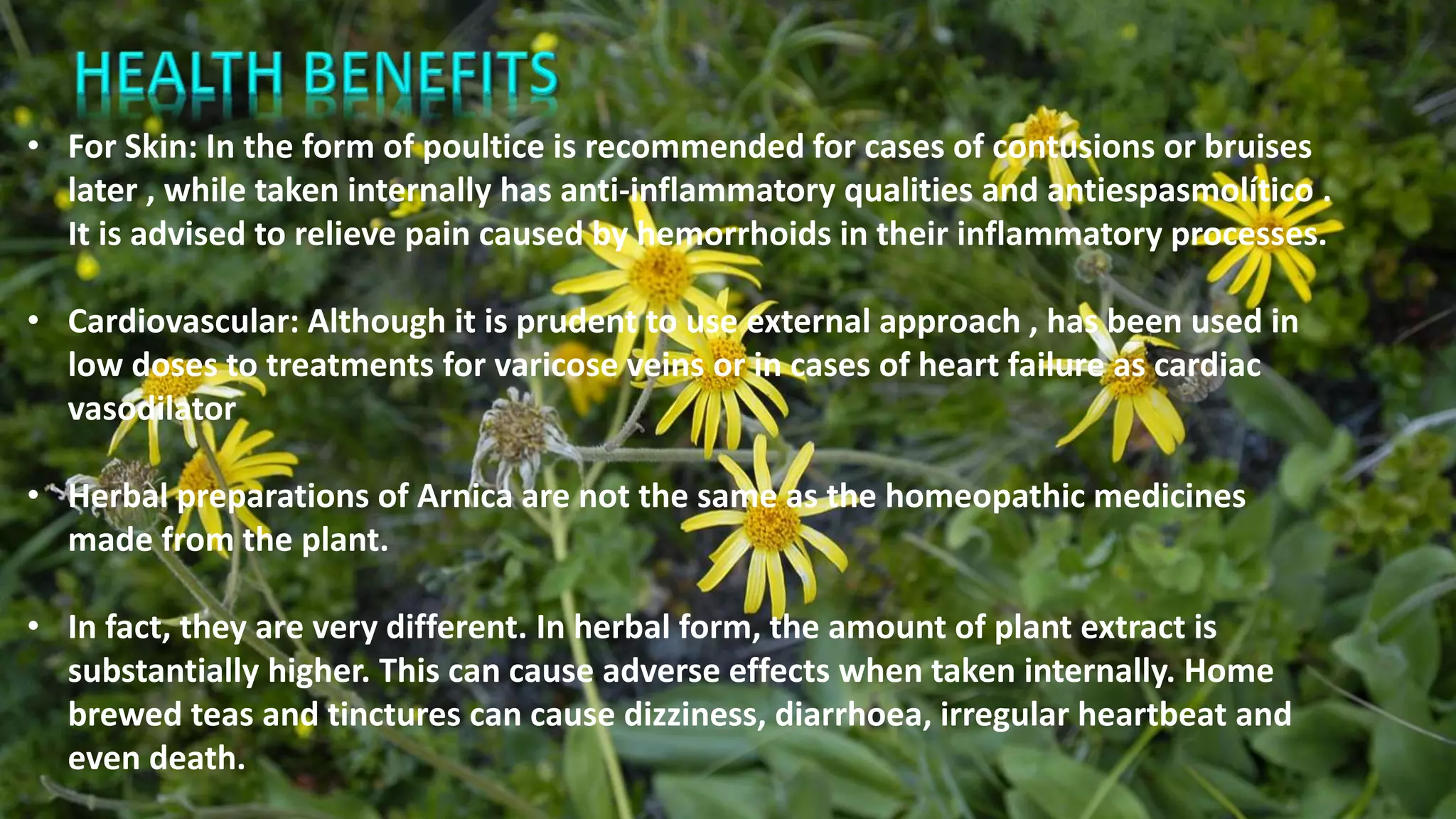 Mathunga Benefits Ppt on eng - Herbal Plants | PPTX