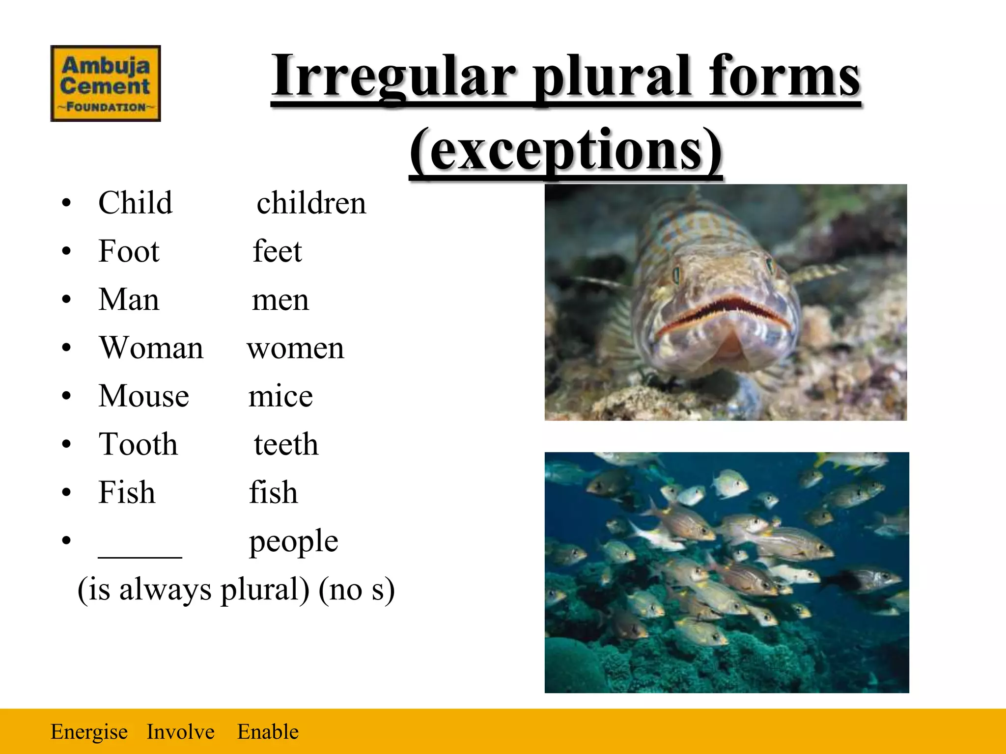 Energise EnableInvolve
Irregular plural forms
(exceptions)
• Child children
• Foot feet
• Man men
• Woman women
• Mouse mice
• Tooth teeth
• Fish fish
• _____ people
(is always plural) (no s)
 