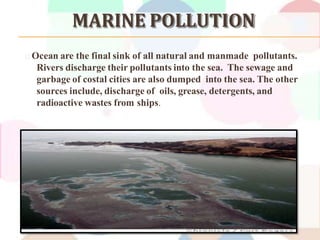 PPT on environment pollution