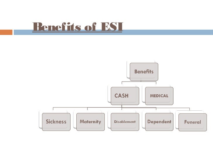 Esic Process Flow Chart