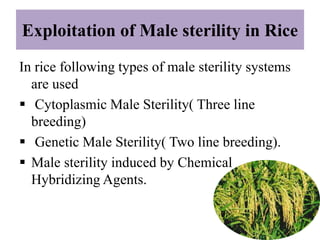 Ppt on exploitation of male sterility in monocots and dicots | PPTX