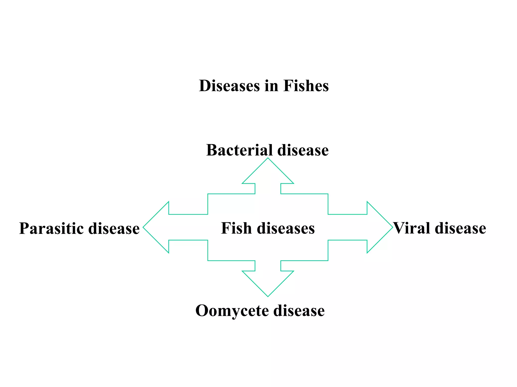 Curated visual reference: Parasitic Bacterial Infections In Fish Reference: Ppt On Fish Diseases Ppt
