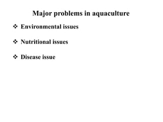 Major problems in aquaculture
 Environmental issues
 Nutritional issues
 Disease issue
 