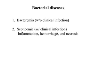 Bacterial diseases
1. Bacteremia (w/o clinical infection)
2. Septicemia (w/ clinical infection)
Inflammation, hemorrhage, and necrosis
 