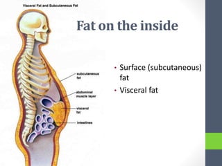Fat on the inside
• Surface (subcutaneous)
fat
• Visceral fat
 