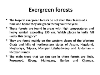 Evergreen forests
 The tropical evergreen forests do not shed their leaves at a
time and hence they are green throughout the year.
 These forests are found in areas with high temperatures and
heavy rainfall exceeding 250 cm. Which places in India fall
under this category?
 They are found mainly on the western slopes of the Western
Ghats and hills of northeastern states of Assam, Nagaland,
Meghalaya, Tripura, Manipur Lakshadweep and Andaman –
Nicobar islands.
 The main trees that we can see in these forests are Teak,
Rosewood, Ebony, Mahogany, Gurjan and Champa.
 
