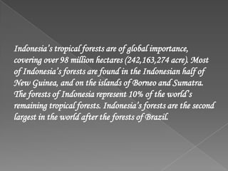 Indonesia’s tropical forests are of global importance,
covering over 98 million hectares (242,163,274 acre). Most
of Indonesia’s forests are found in the Indonesian half of
New Guinea, and on the islands of Borneo and Sumatra.
The forests of Indonesia represent 10% of the world’s
remaining tropical forests. Indonesia’s forests are the second
largest in the world after the forests of Brazil.
 