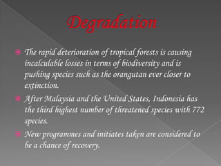  The rapid deterioration of tropical forests is causing
incalculable losses in terms of biodiversity and is
pushing species such as the orangutan ever closer to
extinction.
 After Malaysia and the United States, Indonesia has
the third highest number of threatened species with 772
species.
 New programmes and initiates taken are considered to
be a chance of recovery.
 