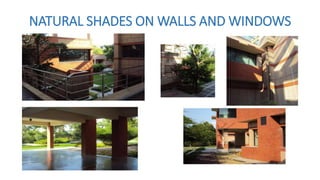 NATURAL SHADES ON WALLS AND WINDOWS
 
