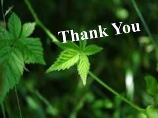 Green revolution India