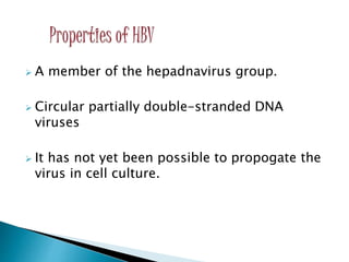  A member of the hepadnavirus group.
 Circular partially double-stranded DNA
viruses
 It has not yet been possible to propogate the
virus in cell culture.
 