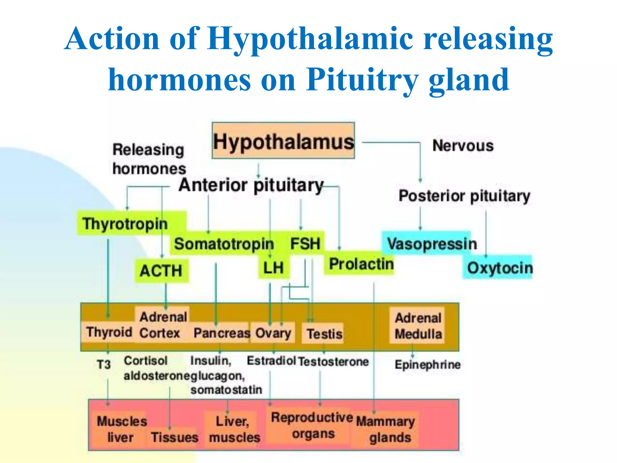 Hypothalamic And Pituitary Hormones Pharmacology Ppt