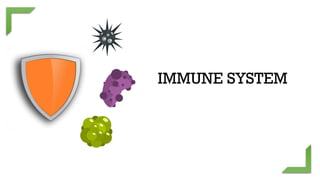 Comprehensive Overview of the Human Immune System and Its Defense ...