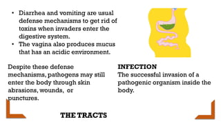 Comprehensive Overview of the Human Immune System and Its Defense ...
