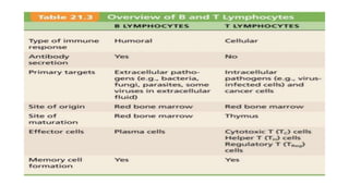 Comprehensive Overview of the Human Immune System and Its Defense ...