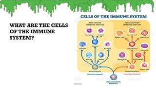 Comprehensive Overview of the Human Immune System and Its Defense ...