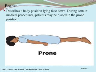 Comprehensive Overview of Anatomical Terms, Planes, and Movements in ...