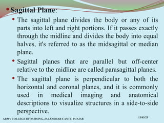 Comprehensive Overview of Anatomical Terms, Planes, and Movements in ...