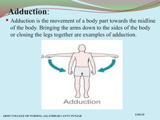 Comprehensive Overview of Anatomical Terms, Planes, and Movements in ...