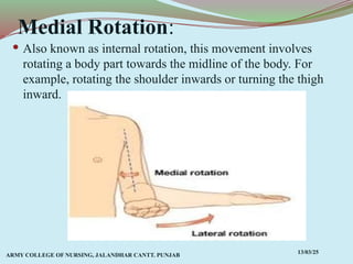 Comprehensive Overview of Anatomical Terms, Planes, and Movements in ...