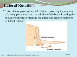Comprehensive Overview of Anatomical Terms, Planes, and Movements in ...
