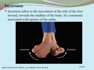 Foot Inward Inversion Comprehensive Overview of Anatomical Terms, Planes, and Movements in ...