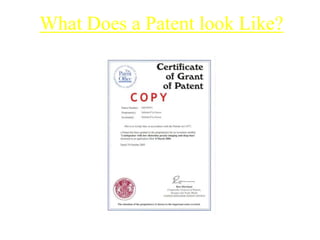 What Does a Patent look Like?
 