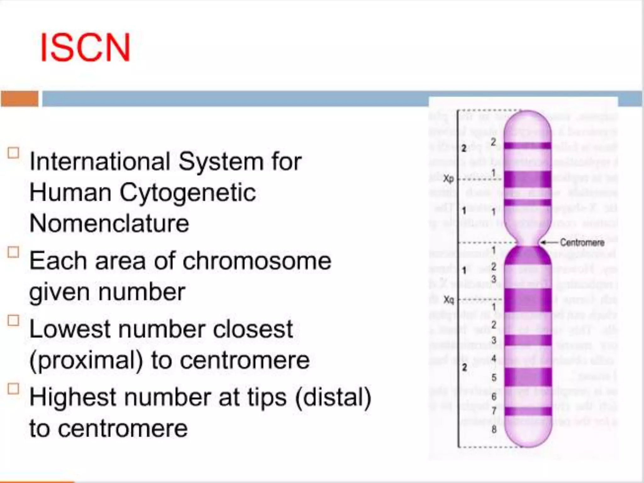 Ppt on karyotyping, chromosome banding and chromosome painting. | PPTX