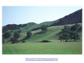 Photo by (Lynn Betts), USDA Natural Resources Conservation Service
http://photogallery.nrcs.usda.gov/JPG/CA/NRCSCA00012.JPG