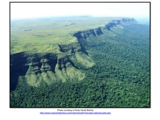 Photo courtesy of Ruta Verde Bolivia
http://www.rutaverdebolivia.com/noel-kempff-mercado-national-park.php