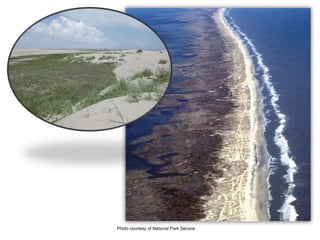 Photo courtesy of National Park Service