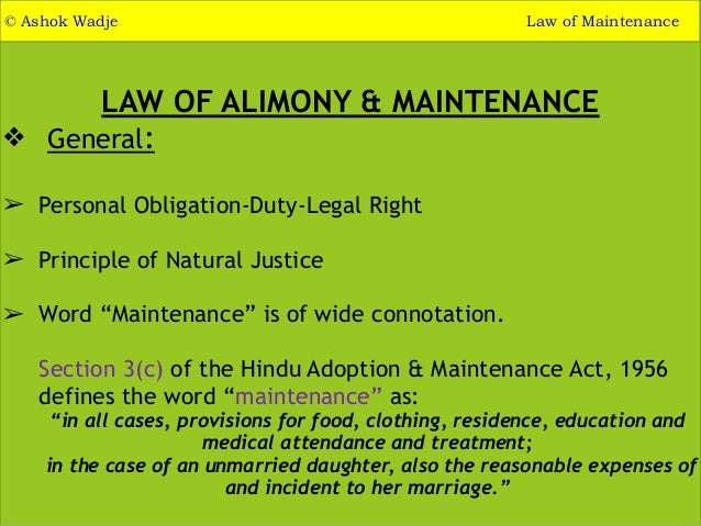 another word for maintenance man