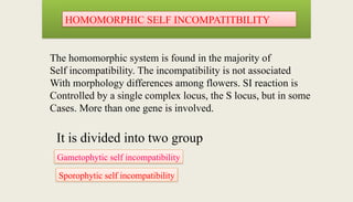 Human Incompatibilty Male sterility and Self-incompatibility with DK Arya Sir | Dev Kumar ...