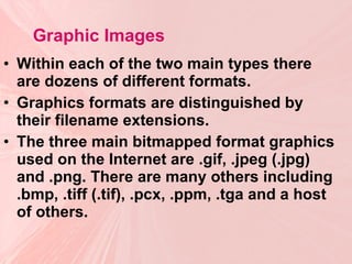Graphic Images Within each of the two main types there are dozens of different formats.  Graphics formats are distinguished by their filename extensions. The three main bitmapped format graphics used on the Internet are .gif, .jpeg (.jpg) and .png. There are many others including .bmp, .tiff (.tif), .pcx, .ppm, .tga and a host of others. 