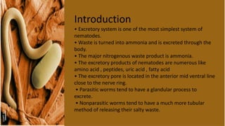 Introduction
• Excretory system is one of the most simplest system of
nematodes.
• Waste is turned into ammonia and is excreted through the
body.
• The major nitrogenous waste product is ammonia.
• The excretory products of nematodes are numerous like
amino acid , peptides, uric acid , fatty acid
• The excretory pore is located in the anterior mid ventral line
close to the nerve ring.
• Parasitic worms tend to have a glandular process to
excrete.
• Nonparasitic worms tend to have a much more tubular
method of releasing their salty waste.
 