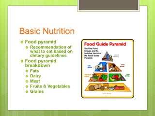 Basic Nutrition
 Food pyramid
 Recommendation of
what to eat based on
dietary guidelines
 Food pyramid
breakdown
 Fats
 Dairy
 Meat
 Fruits & Vegetables
 Grains
 