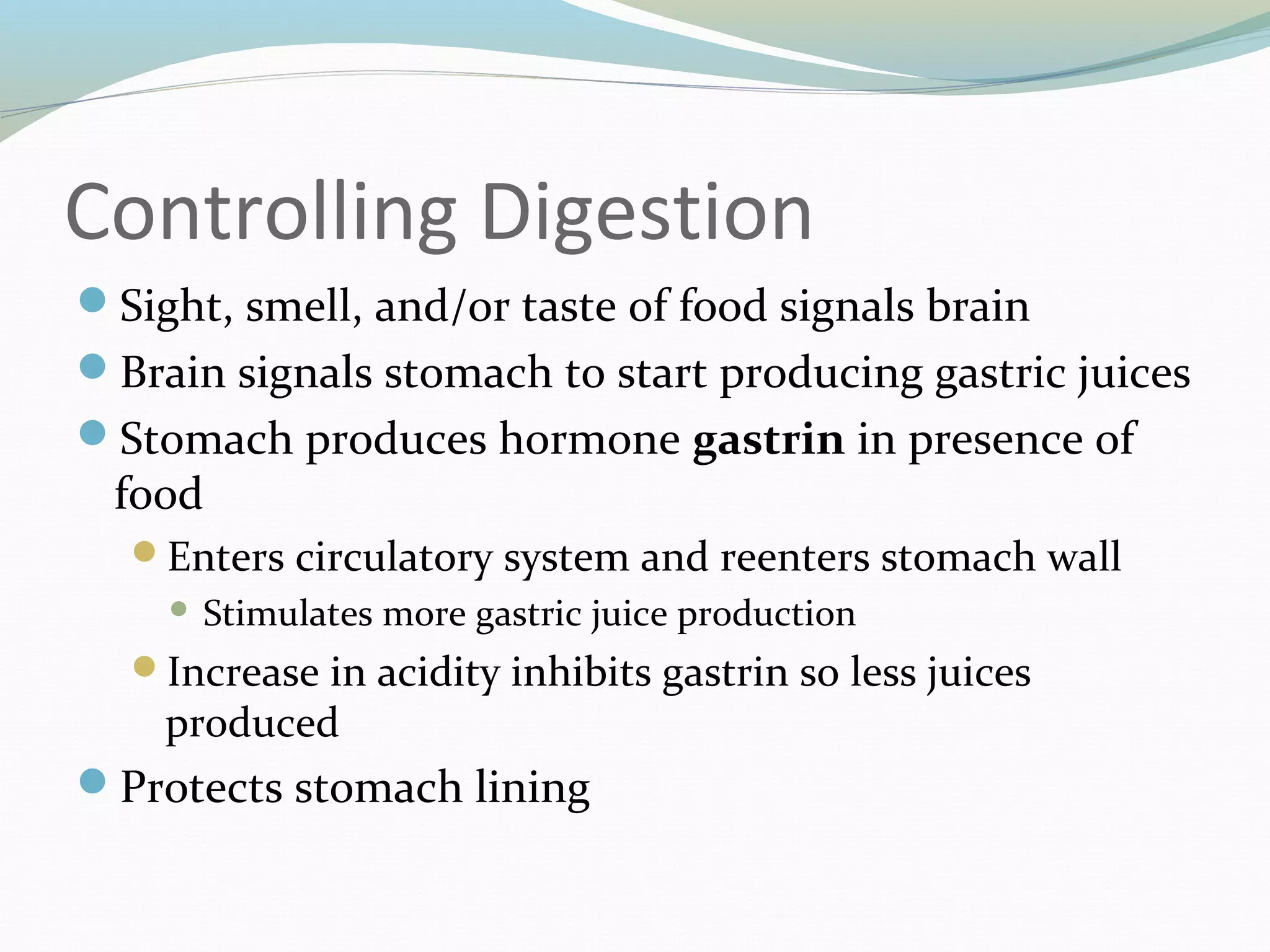 Controlling Digestion
Sight, smell, and/or taste of food signals brain
Brain signals stomach to start producing gastric juices
Stomach produces hormone gastrin in presence of
food
Enters circulatory system and reenters stomach wall
 Stimulates more gastric juice production
Increase in acidity inhibits gastrin so less juices
produced
Protects stomach lining
 