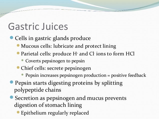 pepcid ac for bile reflux