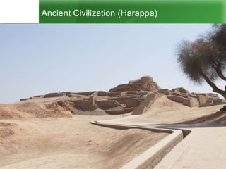 Ancient Civilization (Harappa)
 