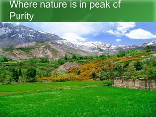 Where nature is in peak of
Purity
 